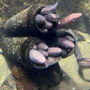 ヒメ日記 2025/08/24 06:22 投稿 愛海-あいみ- 人妻倶楽部 花椿北上店