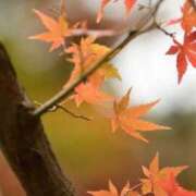 ヒメ日記 2025/08/26 15:06 投稿 愛海-あいみ- 人妻倶楽部 花椿北上店