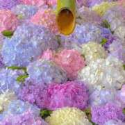 ヒメ日記 2025/08/27 15:02 投稿 愛海-あいみ- 人妻倶楽部 花椿北上店