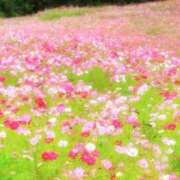 ヒメ日記 2025/09/03 09:52 投稿 愛海-あいみ- 人妻倶楽部 花椿北上店