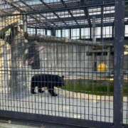 ヒメ日記 2025/09/04 08:02 投稿 愛海-あいみ- 人妻倶楽部 花椿北上店