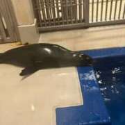 ヒメ日記 2025/09/08 11:02 投稿 愛海-あいみ- 人妻倶楽部 花椿北上店