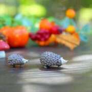 ヒメ日記 2025/09/12 17:42 投稿 愛海-あいみ- 人妻倶楽部 花椿北上店