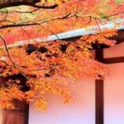 ヒメ日記 2025/09/13 13:32 投稿 愛海-あいみ- 人妻倶楽部 花椿北上店