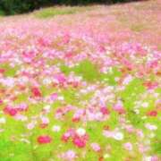 ヒメ日記 2025/09/13 17:42 投稿 愛海-あいみ- 人妻倶楽部 花椿北上店