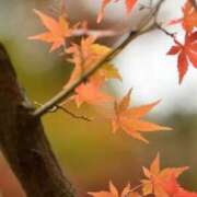 ヒメ日記 2025/10/04 20:42 投稿 愛海-あいみ- 人妻倶楽部 花椿北上店