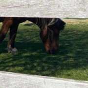 ヒメ日記 2025/10/07 21:42 投稿 愛海-あいみ- 人妻倶楽部 花椿北上店