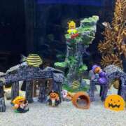 ヒメ日記 2025/10/08 09:22 投稿 愛海-あいみ- 人妻倶楽部 花椿北上店