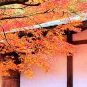 ヒメ日記 2025/10/15 08:42 投稿 愛海-あいみ- 人妻倶楽部 花椿北上店