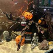 ヒメ日記 2025/10/31 11:42 投稿 愛海-あいみ- 人妻倶楽部 花椿北上店