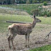 ヒメ日記 2025/10/31 18:07 投稿 愛海-あいみ- 人妻倶楽部 花椿北上店