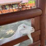 ヒメ日記 2025/11/05 09:41 投稿 愛海-あいみ- 人妻倶楽部 花椿北上店