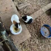 ヒメ日記 2025/11/06 12:22 投稿 愛海-あいみ- 人妻倶楽部 花椿北上店