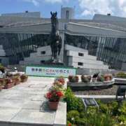 ヒメ日記 2025/11/10 17:42 投稿 愛海-あいみ- 人妻倶楽部 花椿北上店