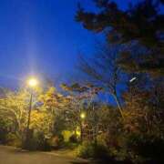 ヒメ日記 2025/11/12 15:02 投稿 愛海-あいみ- 人妻倶楽部 花椿北上店