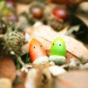 ヒメ日記 2025/11/28 15:02 投稿 愛海-あいみ- 人妻倶楽部 花椿北上店