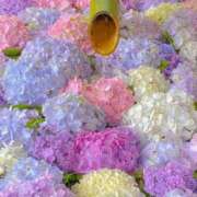 愛海-あいみ- ぶぃーん 人妻倶楽部 花椿北上店