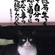 ヒメ日記 2025/11/29 12:03 投稿 瑚亜-こあ- 人妻倶楽部 花椿北上店