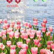 ヒメ日記 2026/05/03 12:22 投稿 瑚亜-こあ- 人妻倶楽部 花椿北上店