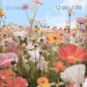 ヒメ日記 2026/05/07 20:32 投稿 瑚亜-こあ- 人妻倶楽部 花椿北上店