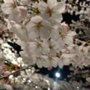 ヒメ日記 2025/04/30 18:02 投稿 翼-つばさ- 人妻倶楽部 花椿北上店