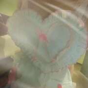 ヒメ日記 2025/10/17 01:12 投稿 翼-つばさ- 人妻倶楽部 花椿北上店