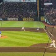 ヒメ日記 2025/05/23 23:36 投稿 茉莉花-まりか- 人妻倶楽部 花椿北上店