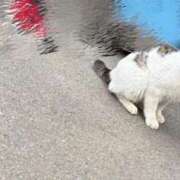 ヒメ日記 2025/04/14 08:32 投稿 佑里乃-ゆりの- 人妻倶楽部 花椿北上店