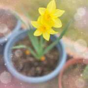 ヒメ日記 2025/04/20 20:32 投稿 莉緒-りお- 人妻倶楽部 花椿北上店