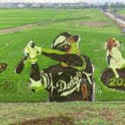 ヒメ日記 2025/07/10 13:42 投稿 瑠々-るる- 人妻倶楽部 花椿北上店