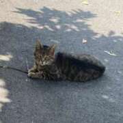 ヒメ日記 2025/08/07 12:42 投稿 瑠々-るる- 人妻倶楽部 花椿北上店