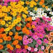 ヒメ日記 2025/08/31 14:42 投稿 瑠々-るる- 人妻倶楽部 花椿北上店