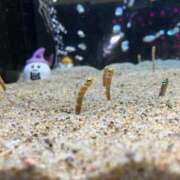 ヒメ日記 2025/10/11 13:52 投稿 瑠々-るる- 人妻倶楽部 花椿北上店