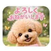 ヒメ日記 2026/06/14 09:13 投稿 華恵-はなえ- 人妻倶楽部 花椿北上店