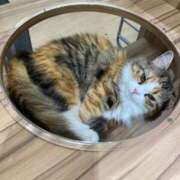 ヒメ日記 2025/06/14 08:52 投稿 光葵-こうき- 人妻倶楽部 花椿北上店