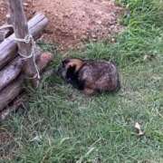 光葵-こうき- 🍂 人妻倶楽部 花椿北上店