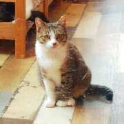 ヒメ日記 2025/04/02 08:02 投稿 陽美-はるみ- 人妻倶楽部 花椿北上店