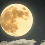 ヒメ日記 2025/07/11 21:42 投稿 陽美-はるみ- 人妻倶楽部 花椿北上店