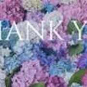 琴羽-ことは- ６月初出勤♡ 人妻倶楽部 花椿大崎店