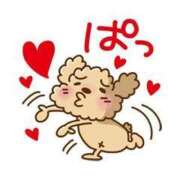 ヒメ日記 2025/06/02 00:25 投稿 ようこ 福岡飯塚田川ちゃんこ