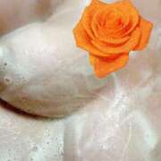 ヒメ日記 2025/09/03 20:05 投稿 ようこ 福岡飯塚田川ちゃんこ