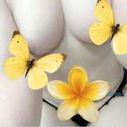 ヒメ日記 2025/09/15 12:25 投稿 ようこ 福岡飯塚田川ちゃんこ