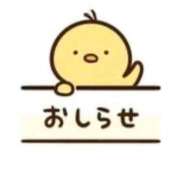 ヒメ日記 2026/06/30 08:05 投稿 月乃-つきの- 人妻倶楽部 花椿大崎店