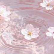 ヒメ日記 2026/10/12 11:09 投稿 永遠-とわ- 人妻倶楽部 花椿大崎店