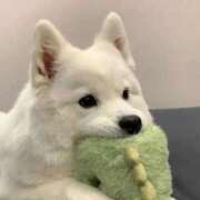 ヒメ日記 2026/09/18 17:04 投稿 恋來-ここ- 人妻倶楽部 花椿大崎店