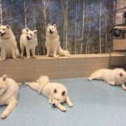 ヒメ日記 2025/06/26 12:20 投稿 めろでぃ サンキュー仙台店