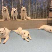 ヒメ日記 2025/07/29 17:55 投稿 めろでぃ サンキュー仙台店