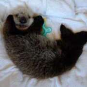 ヒメ日記 2025/08/11 19:35 投稿 めろでぃ サンキュー仙台店