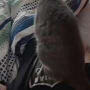 ヒメ日記 2025/09/29 20:35 投稿 めろでぃ サンキュー仙台店