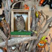 ヒメ日記 2025/11/08 11:25 投稿 めろでぃ サンキュー仙台店